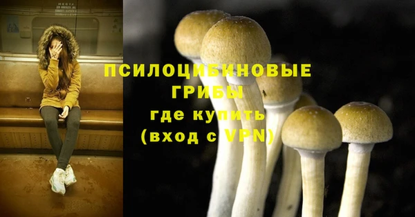 экстази Богданович