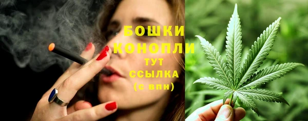 гидра Богородицк