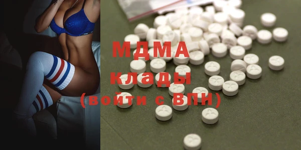 гидра Богородицк