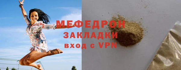 гидра Богородицк