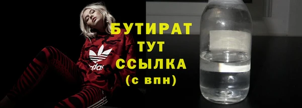 гидра Богородицк