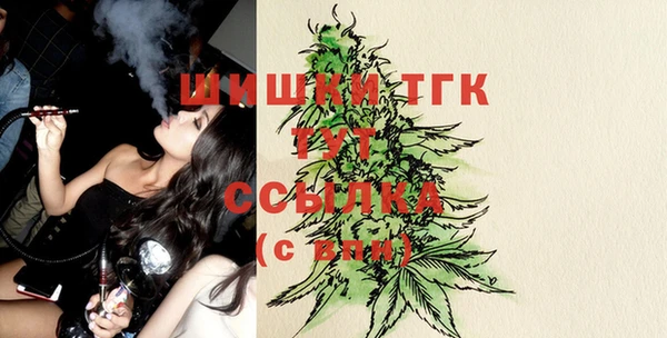 гидра Богородицк