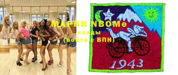 гидра Богородицк