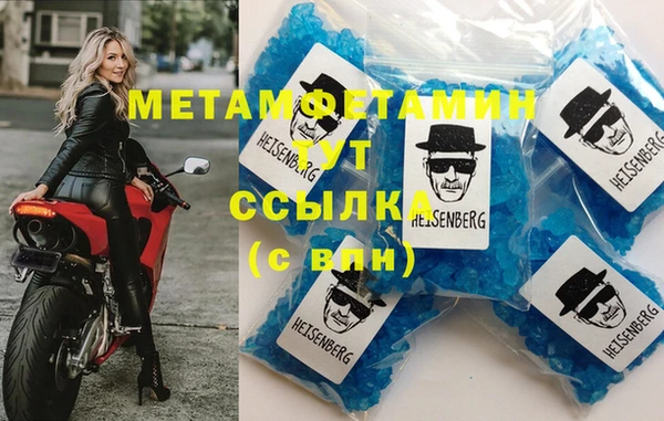 гидра Богородицк